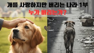개를 사랑하지만 버리는 나라 1부 - 누가 버리는가