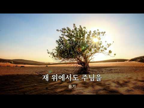 재 위에서도 주님을 (욥기) | 가톨릭 성경 찬양 · 기도와 쉼을 위한 노래