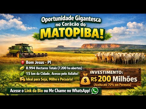Fazenda à Venda em Bom Jesus - PI | 8.994 Hectares no MATOPIBA | 15 km do Asfalto