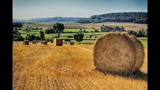 L'UNIVERS DE BRESLEV