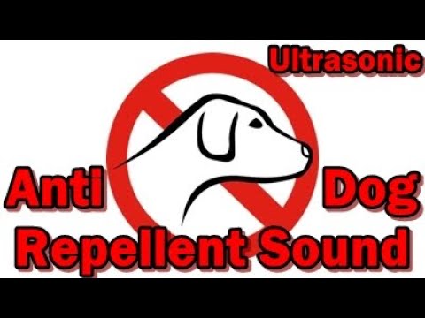 Ultrasonic dog repellent sound - Chase the dog away #stopdogs #staysafe #staystrong #dogs