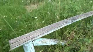 esempio-di-di-cittadini-modello