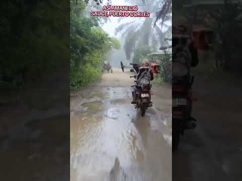 SAUCE PUERTO CORTÉS #agradecidos #DIOSesamor #honduras #graciasporelapoyo #bendiciones