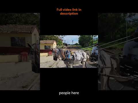 Morón Cuba: Real Life Beyond the Resorts Revealed! #MoronCuba #RealCuba #CubaTownLife #CiegoDeAvila