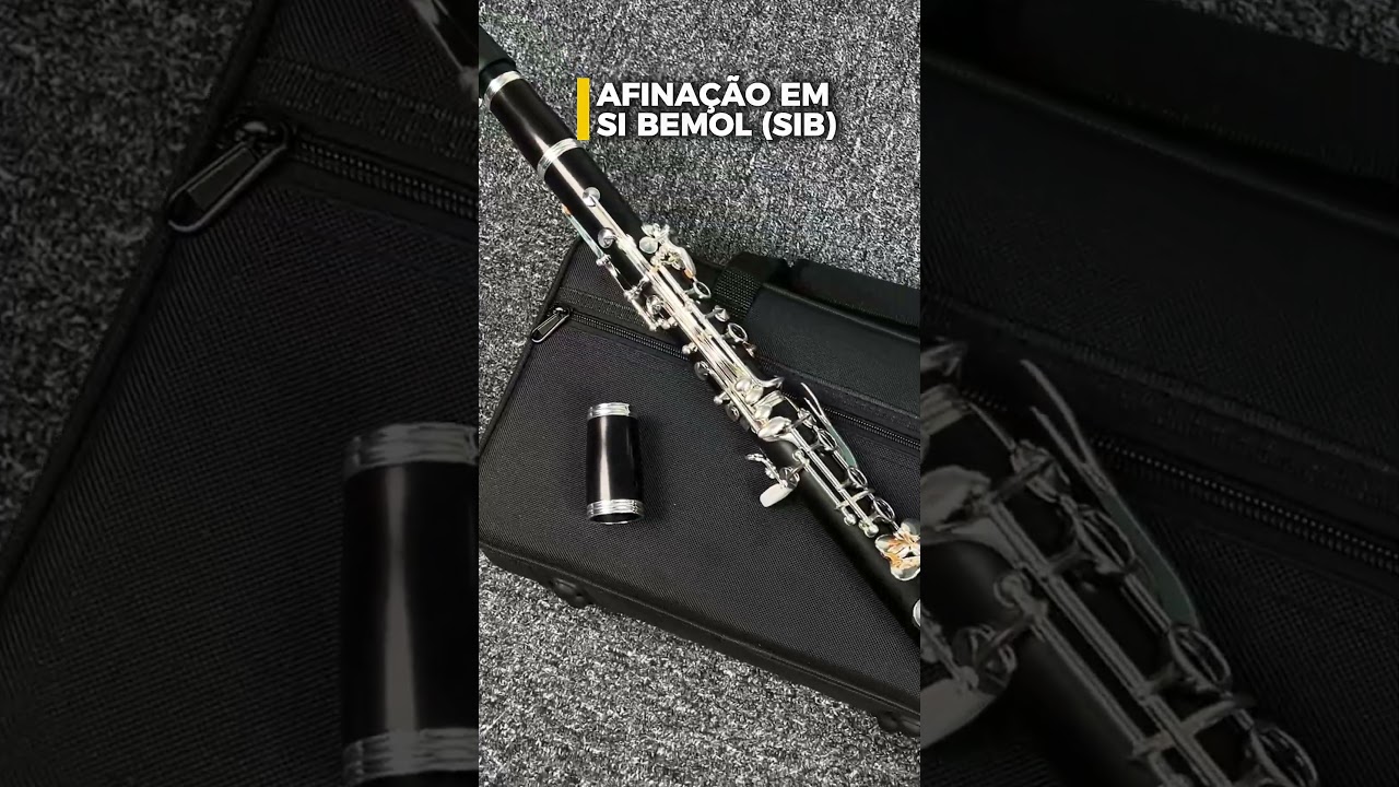 Clarinete Sib 17 Chaves Prateadas Corpo Madeira Ébano Estojo