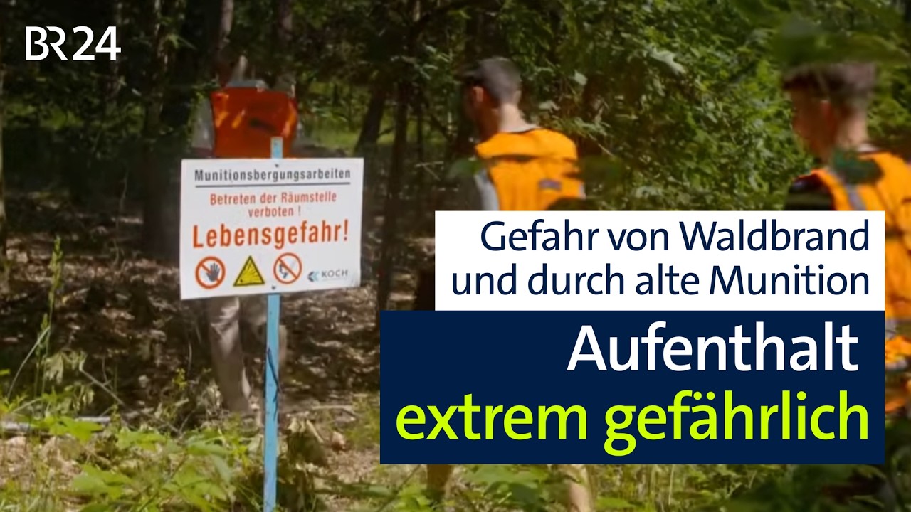 Waldbrand-Risiko und alte Munition machen diesen Wald extrem gefährlich | Abendschau | BR24