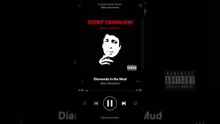 Gerry Cinnamon - Diamonds in the mud
