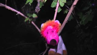 Scary found footage. Short film. Horror.