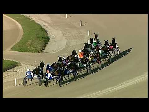 Napoli Trotto 19/02/2021 - 5ª corsa