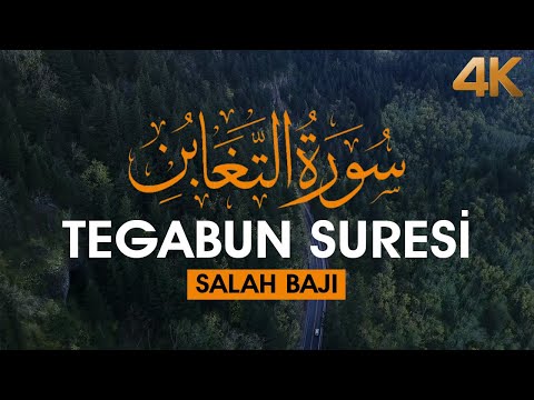 Dinlemeye Doyamayacaksınız - Teğabun Suresi | Salah Baji Surah Taghabun | Heart Touching Quran | 4K
