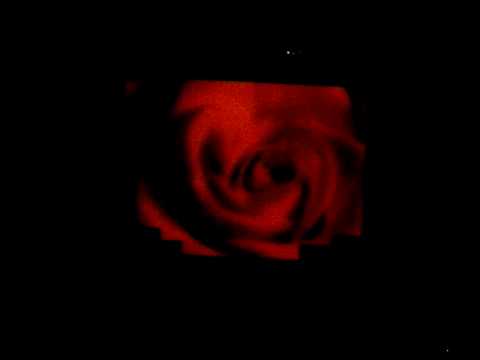 Gensna in Concert - Aria