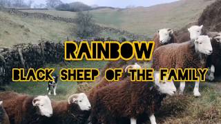 Rainbow - Black sheep of the family lyrics