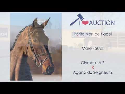 Parita Van de kapel Movements