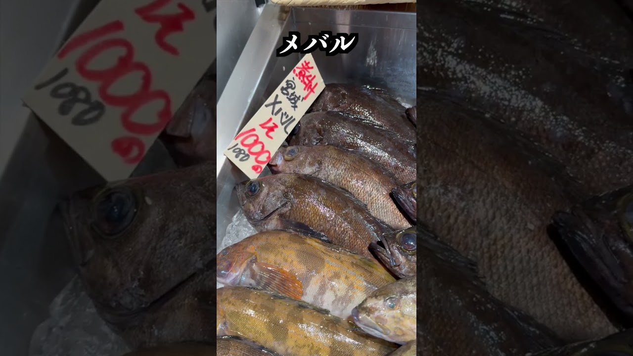 うお一番の対面コーナーにお魚が並ぶ様子