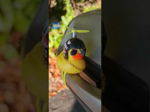 Duck face #duck #duckface