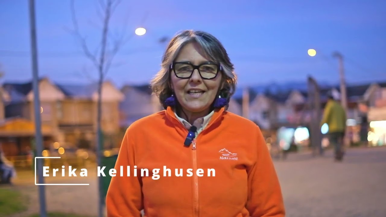 Taller sobre uso de herramientas y plataformas de accesos público y análisis de información.