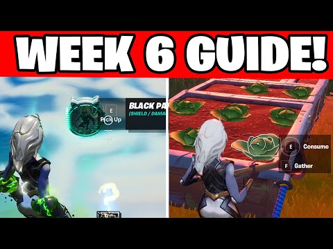 ALL WEEK 6 CHALLENGES GUIDE FORTNITE CHAPTER 2 SEASON 4