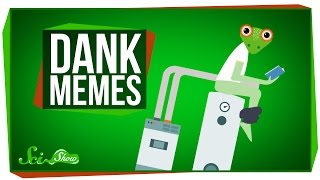 Introduction To Meme Science