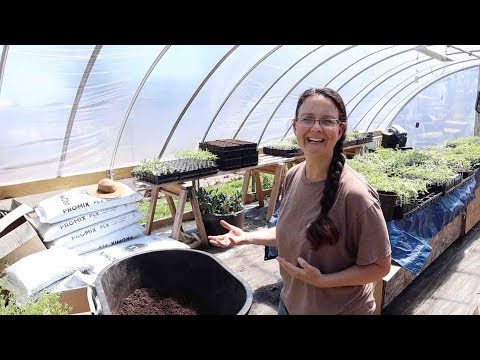 So... Many... Plants... 😊