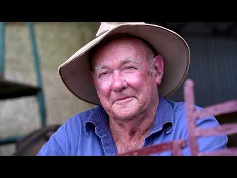 Tom Curtain - Bucket Baby [Official Video]