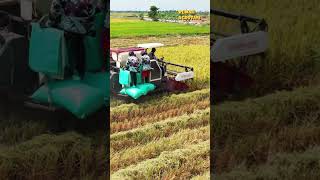 Download lagu Lebih cepat dan lebih mudah, unggulnya mesin panen padi combine harvester mp3 Download lagu Lebih cepat dan lebih mudah, unggulnya mesin panen padi combine harvester mp3