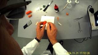 Preparing thin leaf sections for the microscope