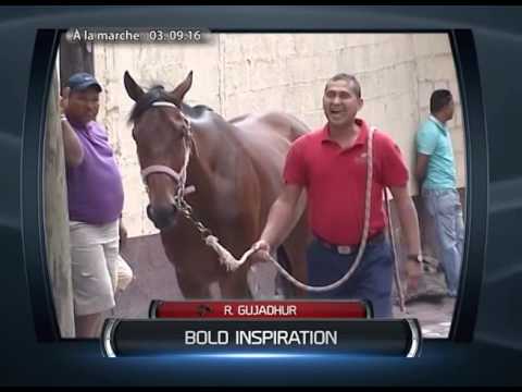 BUILD-UP MAIDEN 2016: BOUCLETTE TOP, BOLD INSPIRATION AND VETTEL