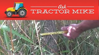 Five Things to Consider When Shopping for a Brush Cutter
