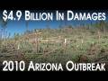 The October 2010 Arizona Tornado Outbreak And Hailstorm A Retrospective And Analysis