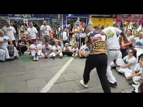 CM Buiu e Prof. viola