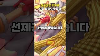 사황 밀짚모자 루피 vs 해군대장 키자루