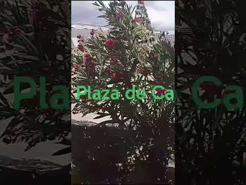 Vivir en altura!!! #travel #ytshorts #nature #noticiasturismo