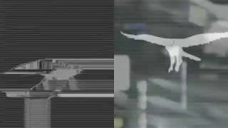 Mary Winter Music Video