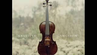 Saltillo - Remember me