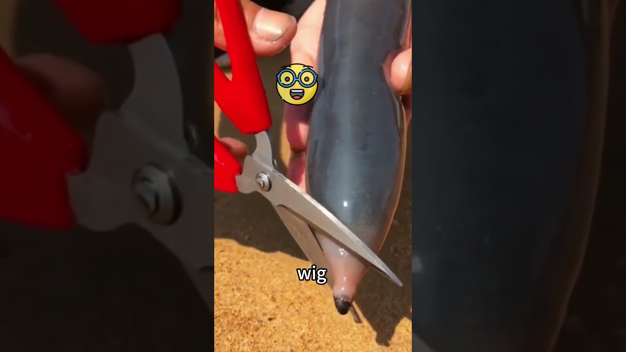 Having a friend without an inside voice is scary #relatablestories  #comedy  #funnymemes