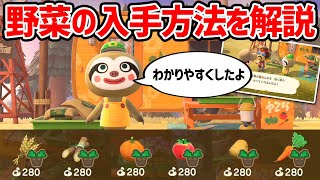 【あつ森】アップデート後の野菜入手法についてわかりやすく解説！パニーの島にレイジを呼んで買う方法！【アプデ後の野菜畑】