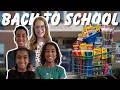 After 5 Years of Homeschooling! | The Wilders Vlog