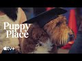 Puppy Place — Rascal the Jack Russell Terrier | Apple TV+