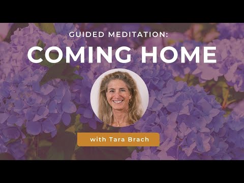 Guided Reflection: Coming Home with Attend and Befriend, with Tara Brach