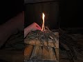 Building The Top Down Fire In A Fireplace Or Wood Stove