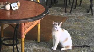 Benny Carter - Live, "What Is This Thing Called Love" (11/84)