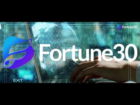 FORTUNE30 INVESTMENT LTD