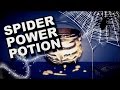 Biblical Meaning Of Spiders In House
