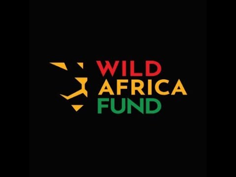 279. The Wild Africa Fund with Peter Knights OBE, CEO" - YouTube