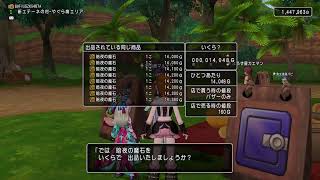 ドラゴンクエストXプレイ日誌#りゅうおうき他プレイ日誌