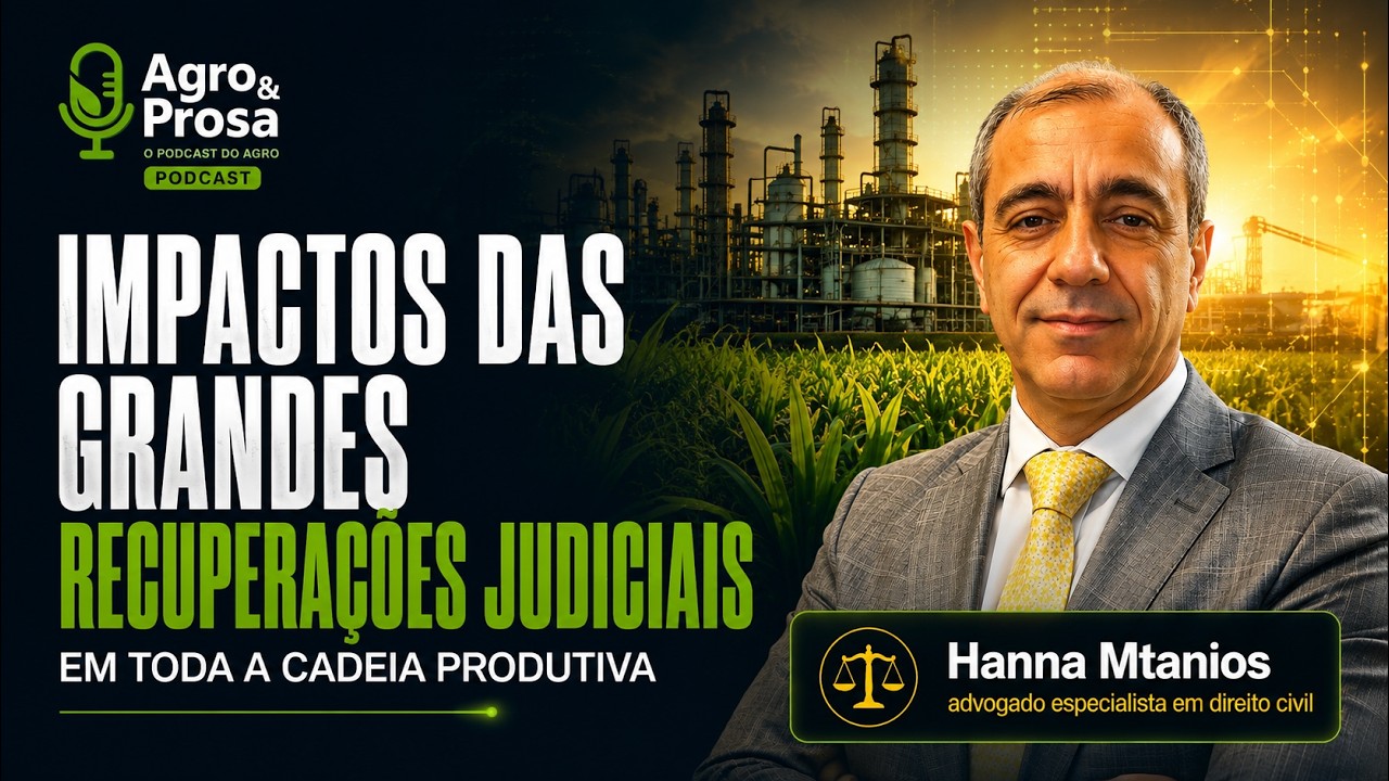 Impactos das grandes recuperações judiciais em toda a cadeia produtiva
