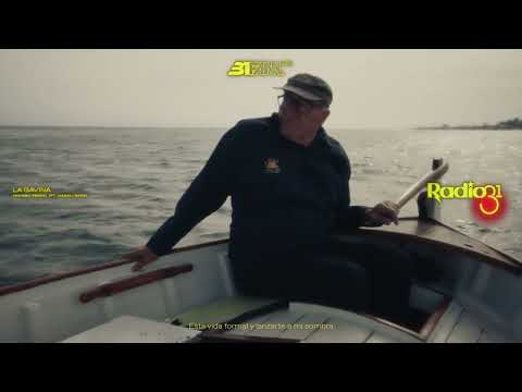 LA GAVINA (MAMBO REMIX) - 31FAM ft. Magalí Sare [Visualizer]