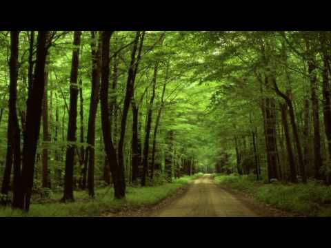 Far & Close (LTN Sunrise Mix) - Anushka De'sai