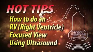 How to do an RV Focused View Using Ultrasound