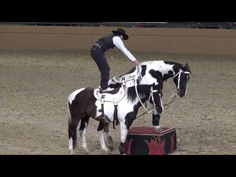 Tommie Turvey Extreme Roman Riding  - Night of the Horse 2015 - Del Mar National Horse Show